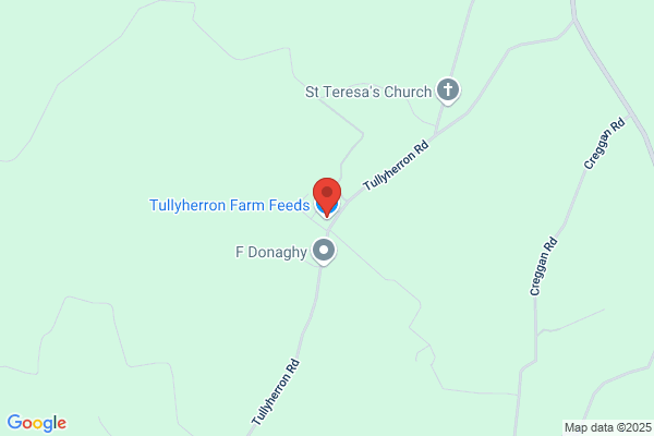 Tullyherron Primary School