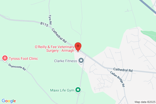 O'Reilly & Fee Veterinary Surgery - Armagh