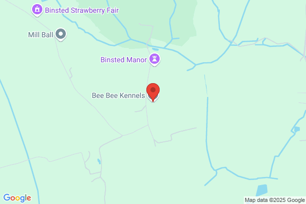 Bee Bee Kennels & Cattery