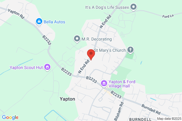Yew Tree