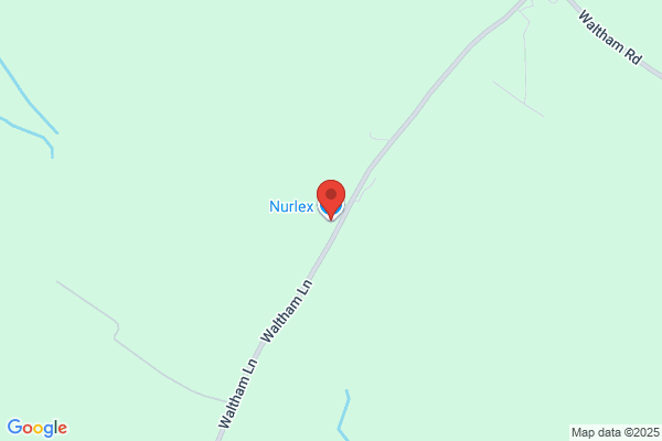 Nu Life