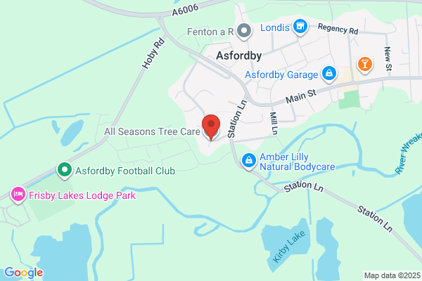 Tree Services