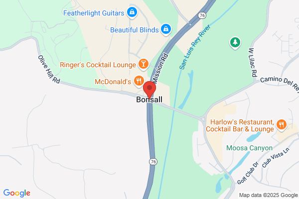 N A Bonsall