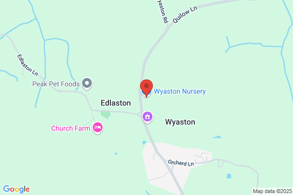 Wyaston Nursery