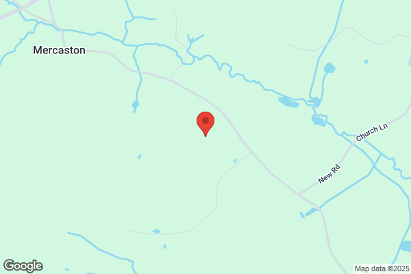 Mercaston Tree Co