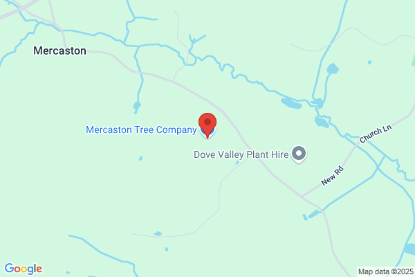 Mercaston Tree Co