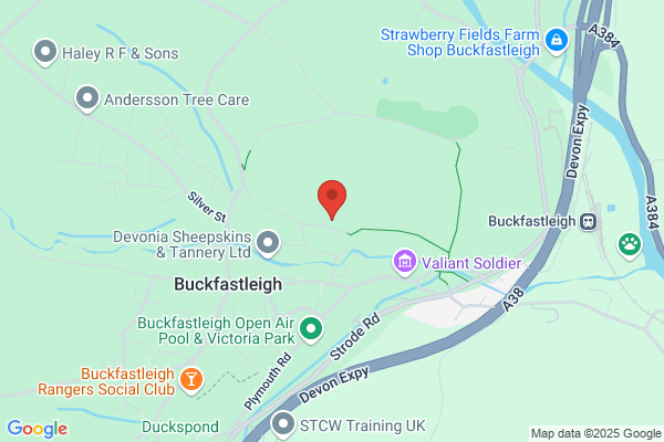 Buckfast & Totnes Builders