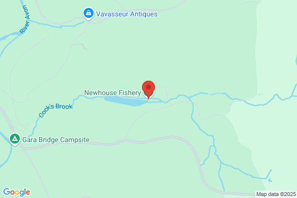 Neptune Fisheries