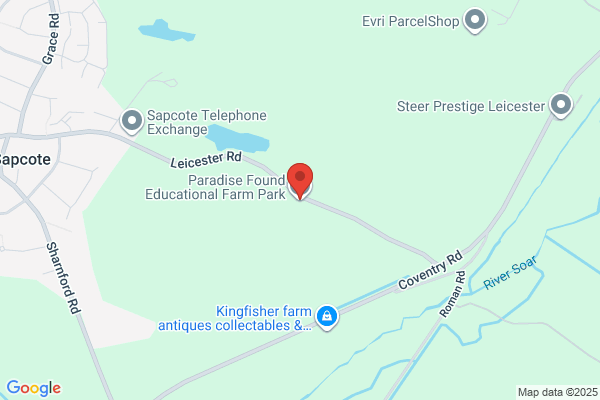 Pig Paradise Farm