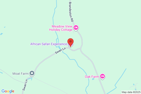 African Safari Experience