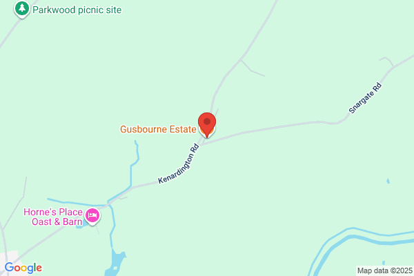 Gusbourne Estate Vineyard