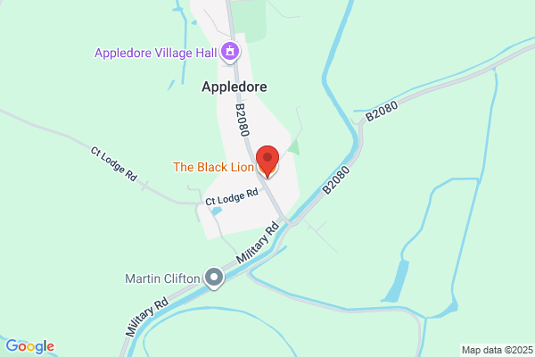 The Black Lion