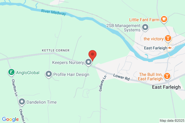 Bottoms Up