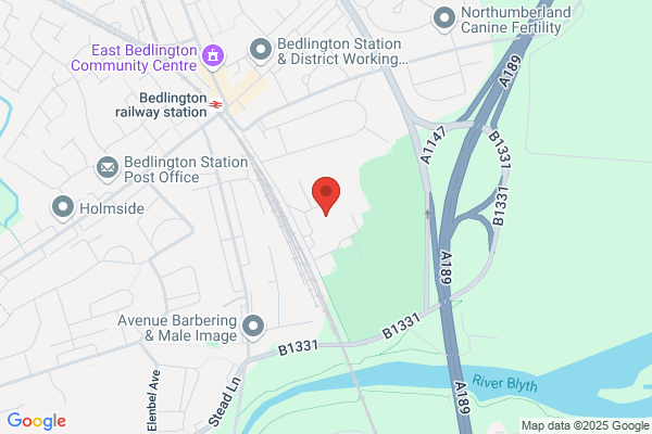 Bedlington Community High School