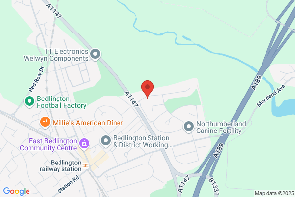 ALAN CARROLL REMOVALS AND STORAGE