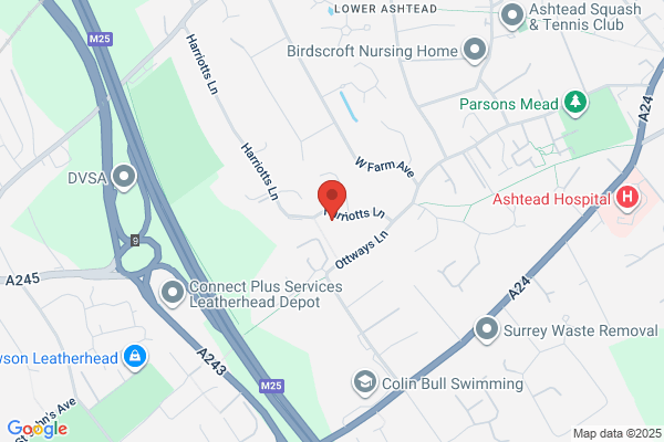 Bridge Partnership Ltd