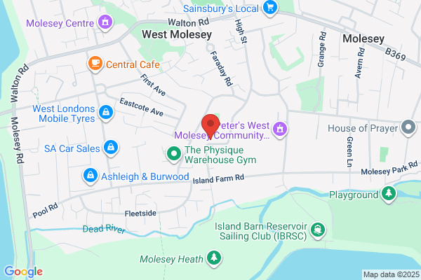 Newton Wood Tree Care