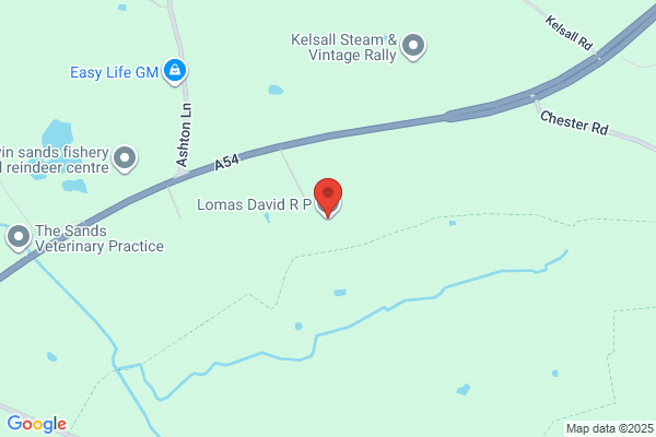 David R P Lomas