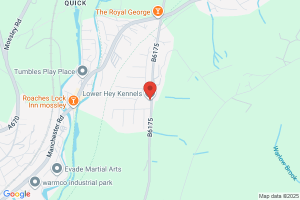 Woodhouse Green Boarding Kennels