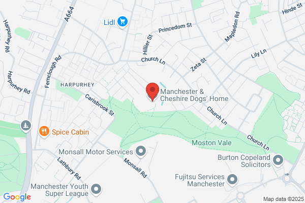 Manchester Dogs Home