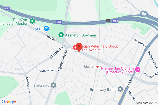 Alesha Pauls Hair Design