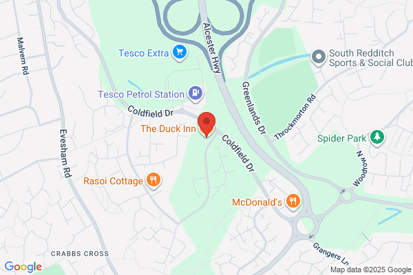The Duck Pond
