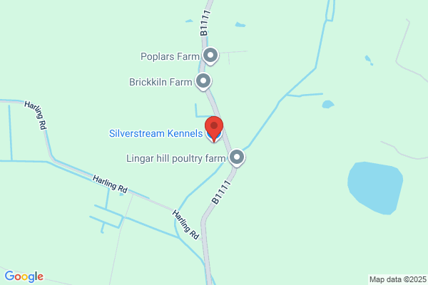 Silverstream Kennels