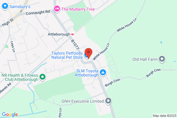 Apple Car Centre