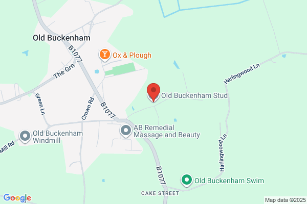 Old Buckenham Stud Ltd