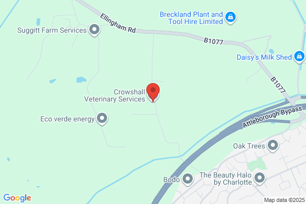 Crowshall Veterinary Services