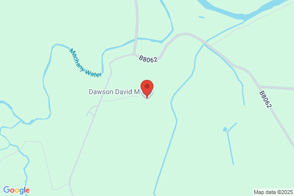 David M Dawson