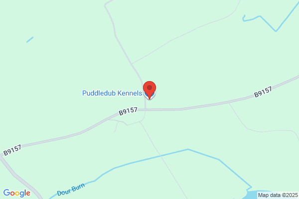 Puddledub Kennels