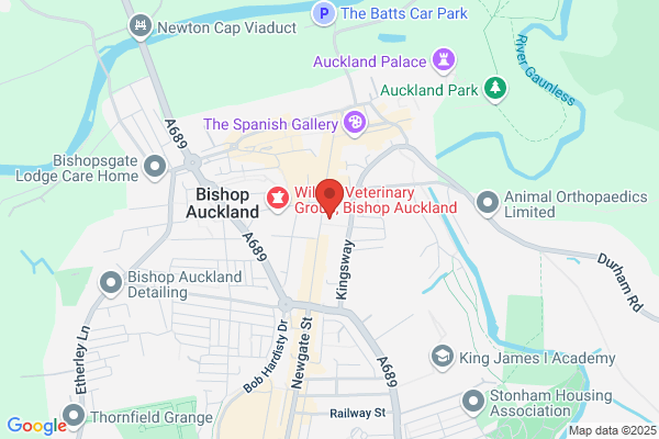 Specsavers Opticians and Audiologists - Bishop Auckland