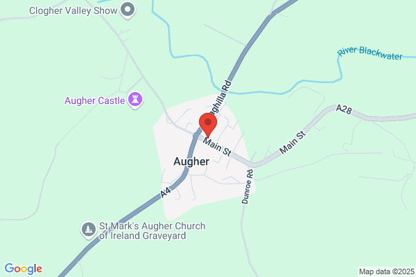 F Maxwell