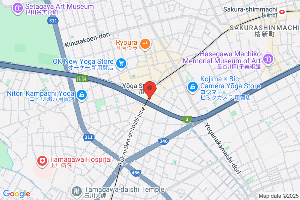 Dorothy Perkins - CLOSED