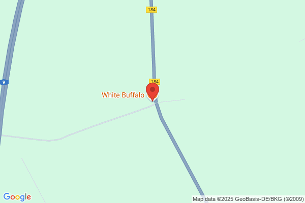 White Buffalo