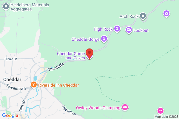 Cheddar Valley Vineyards