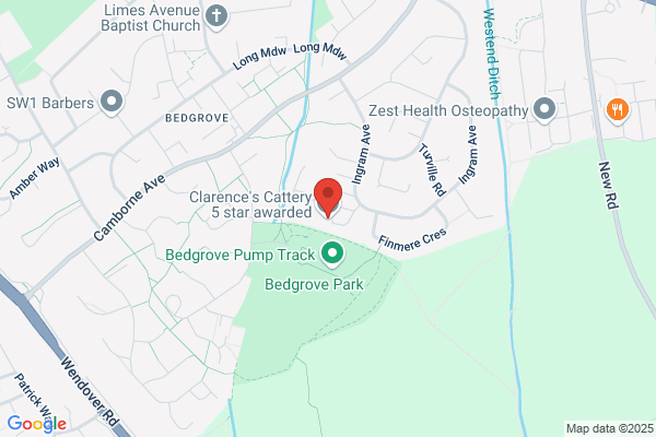 The Buckland Cattery