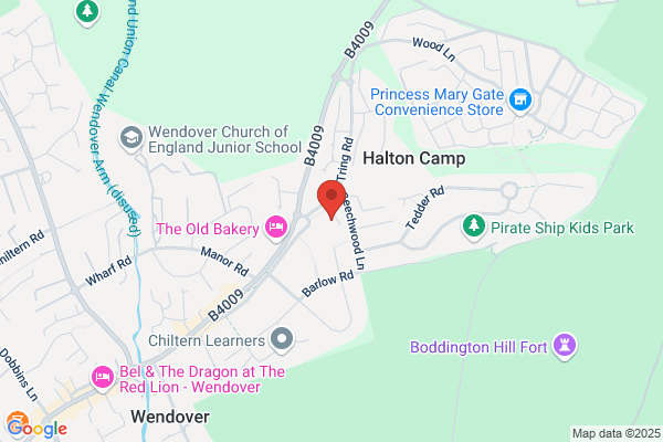 P Kernan Tree Surgeon Ltd