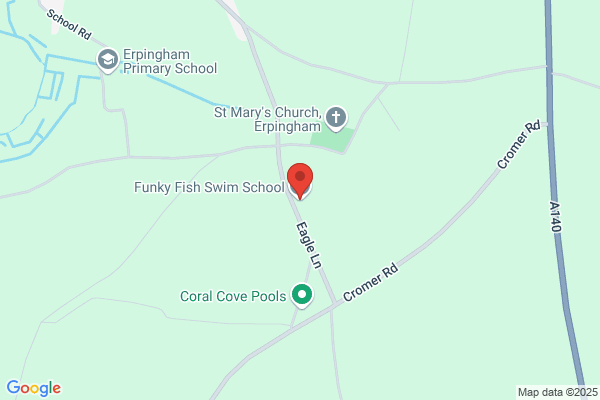 Funky Fish Swim School