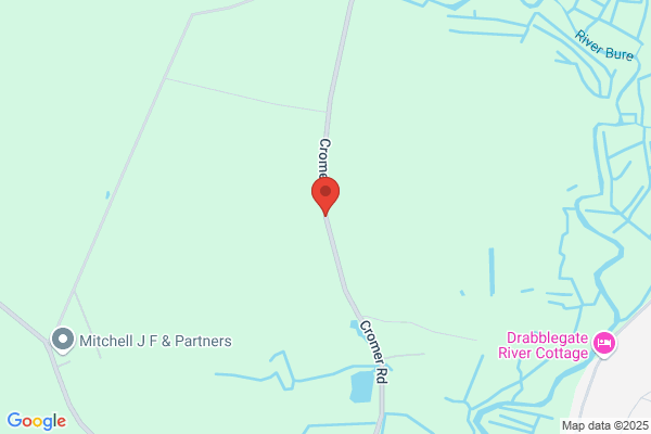 Tutus by Jane Kenning