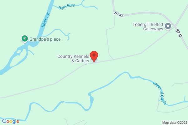 Country Kennels & Cattery