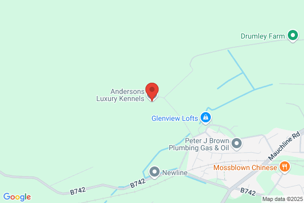 Drumancroy Boarding Kennels