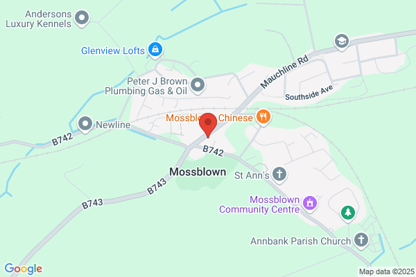Mossblown Chemists Ltd