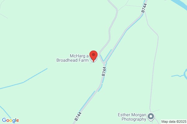 A J H McHarg
