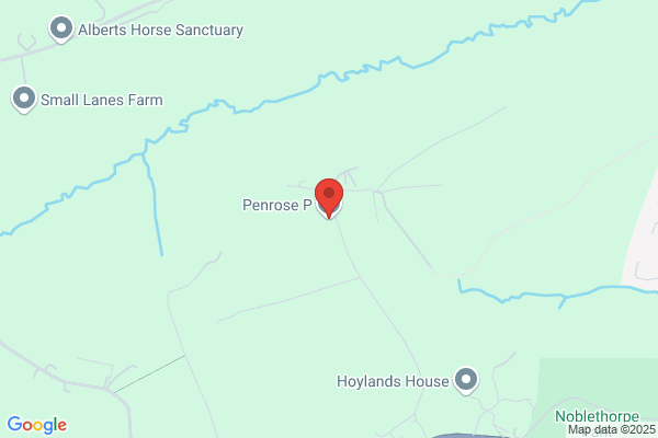 P Penrose