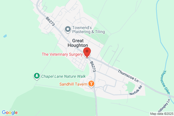 Elisabeth Huntenburg MRCVS, The Veterinary Surgery