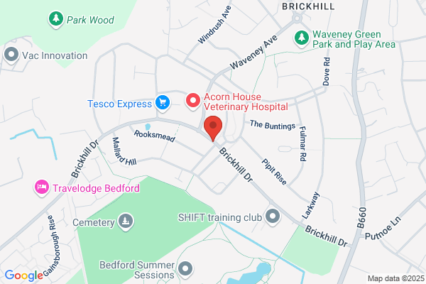 Carpet Cleaning Bedford
