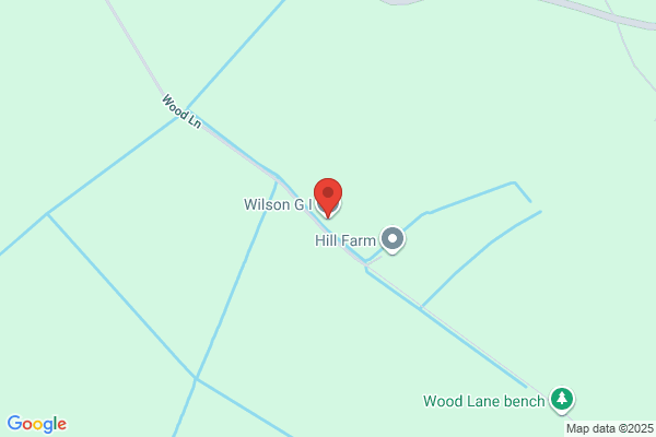 G I Wilson