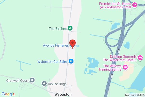 Avenue Fisheries